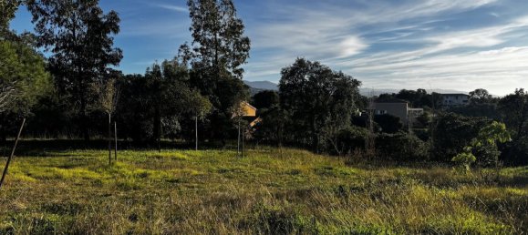 Terrain à Cuttoli-Corticchiato, France 1634m² No. 113757 3