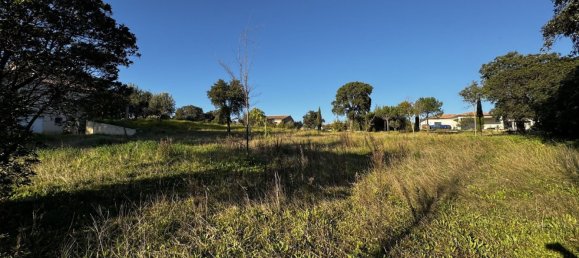 Terrain à Cuttoli-Corticchiato, France 1634m² No. 113757 5