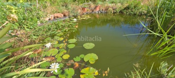 Дом с 4 спальнями в Гранада, Испания № 167689 43