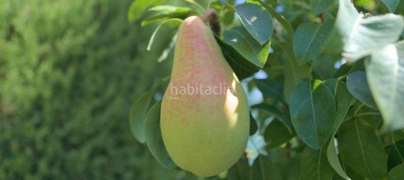 Дом с 4 спальнями в Гранада, Испания № 167689 45