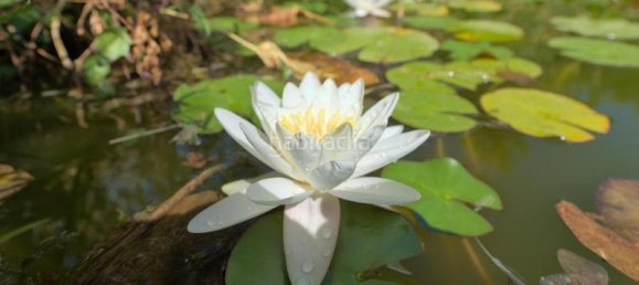 Дом с 4 спальнями в Гранада, Испания № 167689 42