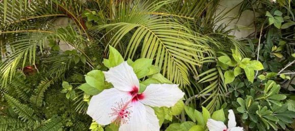 7 bedrooms House in Germasogeia, Cyprus No. 15603 9