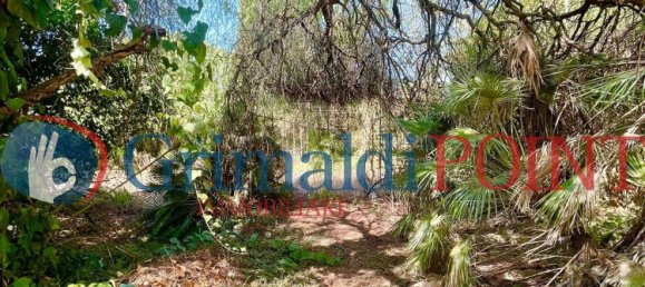 Villa de 7 habitaciónes en Sogliano Cavour, Italy No. 53391 30