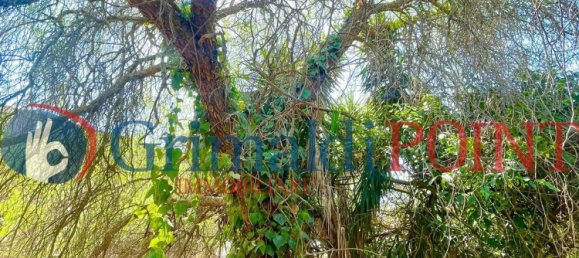 Villa de 7 habitaciónes en Sogliano Cavour, Italy No. 53391 24