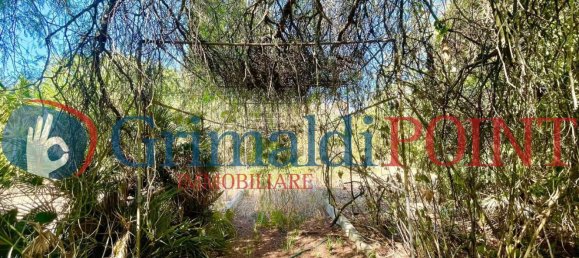 Villa de 7 habitaciónes en Sogliano Cavour, Italy No. 53391 28