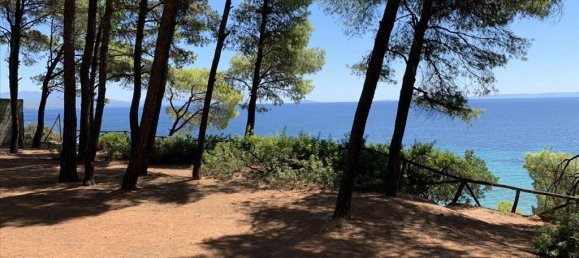 5 chambres Propriété commerciale à Chalkidiki, Greece No. 4660 22