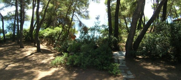 5 chambres Propriété commerciale à Chalkidiki, Greece No. 4660 24