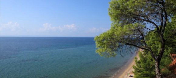 5 chambres Propriété commerciale à Chalkidiki, Greece No. 4660 28