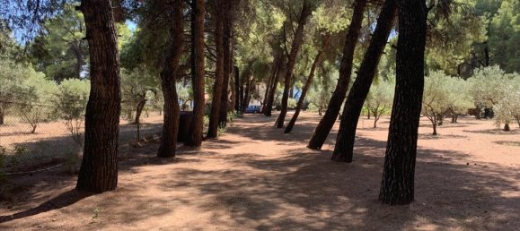 5 chambres Propriété commerciale à Chalkidiki, Greece No. 4660 30