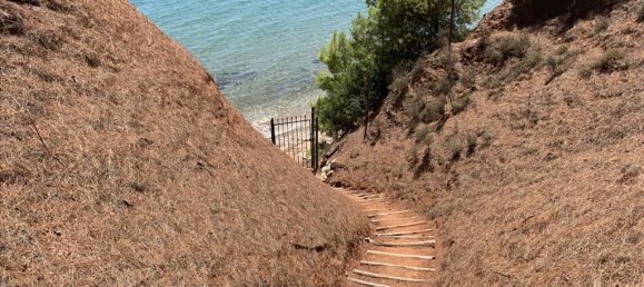 5 chambres Propriété commerciale à Chalkidiki, Greece No. 4660 26