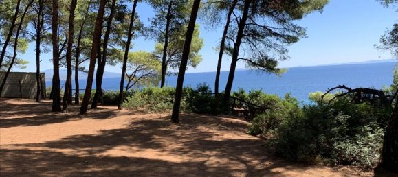 5 chambres Propriété commerciale à Chalkidiki, Greece No. 4660 23