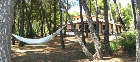 5 chambres Propriété commerciale à Chalkidiki, Greece No. 4660 20