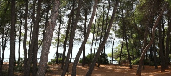 5 chambres Propriété commerciale à Chalkidiki, Greece No. 4660 21