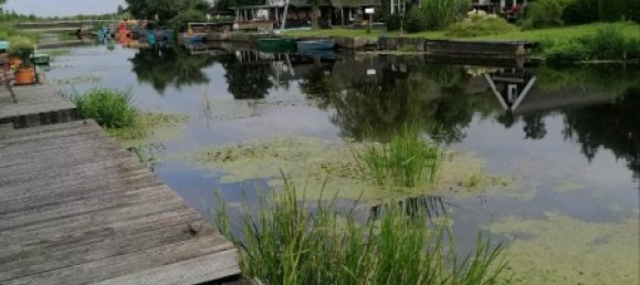 Terreno en Rostock, Germany No. 236345 2