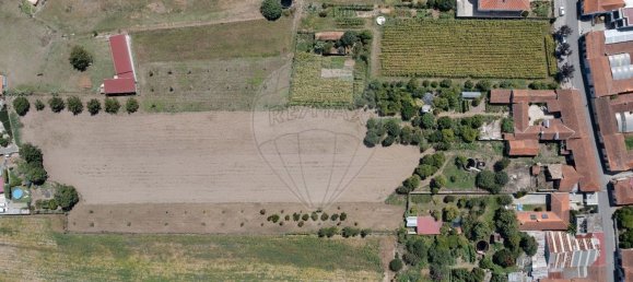 3 Schlafzimmer Haus in Aveiro, Portugal, Nr. 173617 32