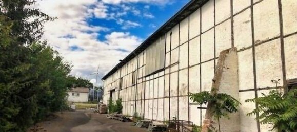 Склад 1359м² в Sommerda, Германия № 171450 3