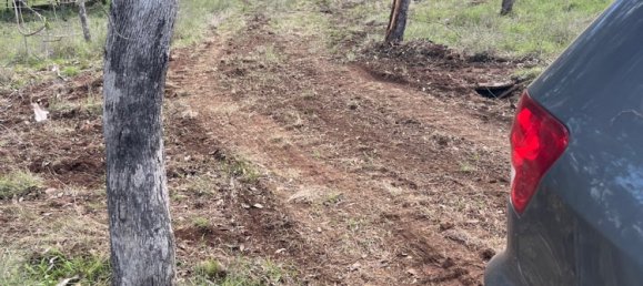 Haus in Rosenthal Heights, Australia, Nr. 896 4