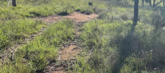 Haus in Rosenthal Heights, Australia, Nr. 896 5