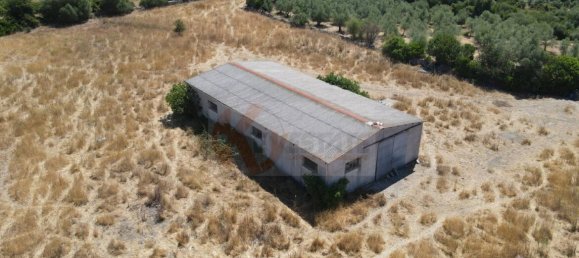  مستودع في Romana, Italy 450متر مربع رقم 318755 39