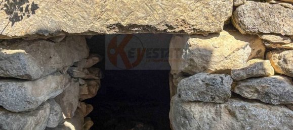  مستودع في Romana, Italy 450متر مربع رقم 318755 38