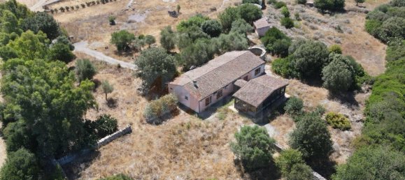  مستودع في Romana, Italy 450متر مربع رقم 318755 20