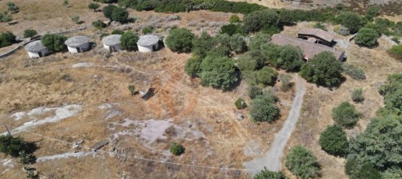  مستودع في Romana, Italy 450متر مربع رقم 318755 25