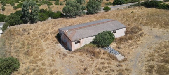  مستودع في Romana, Italy 450متر مربع رقم 318755 41