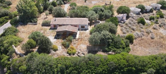  مستودع في Romana, Italy 450متر مربع رقم 318755 21