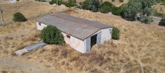  مستودع في Romana, Italy 450متر مربع رقم 318755 43