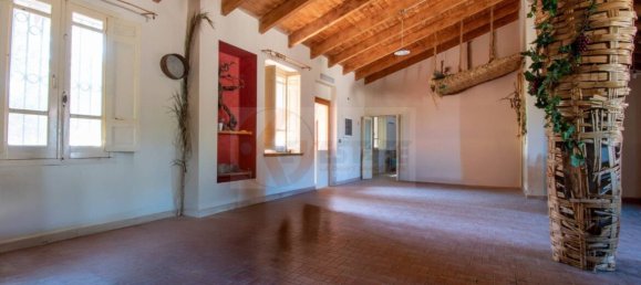  مستودع في Romana, Italy 450متر مربع رقم 318755 2