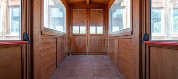  مستودع في Romana, Italy 450متر مربع رقم 318755 5