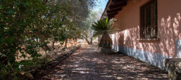  مستودع في Romana, Italy 450متر مربع رقم 318755 26