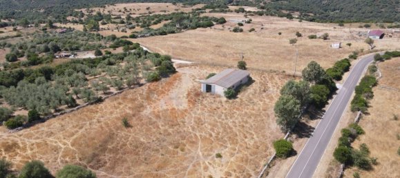  مستودع في Romana, Italy 450متر مربع رقم 318755 46