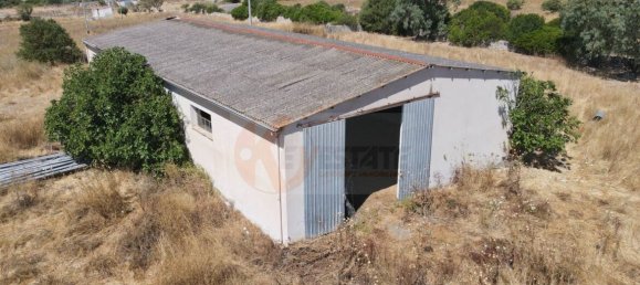  مستودع في Romana, Italy 450متر مربع رقم 318755 44