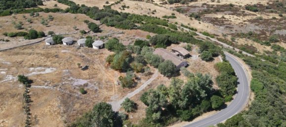  مستودع في Romana, Italy 450متر مربع رقم 318755 19