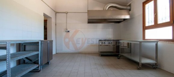  مستودع في Romana, Italy 450متر مربع رقم 318755 11