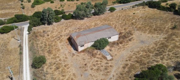  مستودع في Romana, Italy 450متر مربع رقم 318755 42