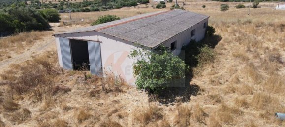  مستودع في Romana, Italy 450متر مربع رقم 318755 45