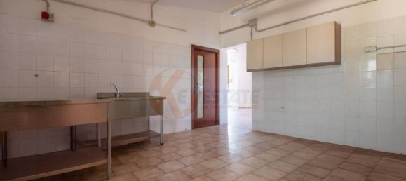  مستودع في Romana, Italy 450متر مربع رقم 318755 12