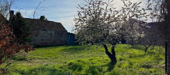 Moradia em banda de 8 divisões em Wittenberg, Germany N.º 176517 2