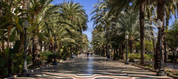 2 غرف نوم شقة في Alicante, Spain رقم 177336 11