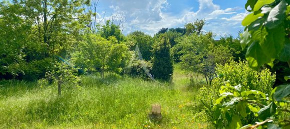 4 chambres Maison à Le Controis-en-Sologne, France No. 71483 2