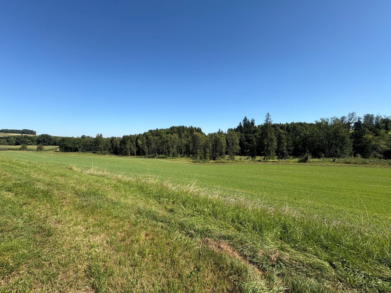 Grundstück in Utzenaich, Austria, Nr. 232125