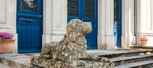 Casa de 8 dormitorios en Chatellerault, France No. 301477 10