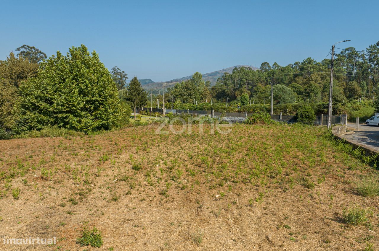 3300m² Land in Dornelas, Portugal No. 335043