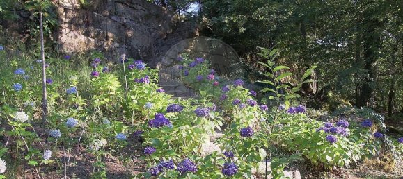 10 chambres Hôtel à Atei, Portugal No. 64939 42