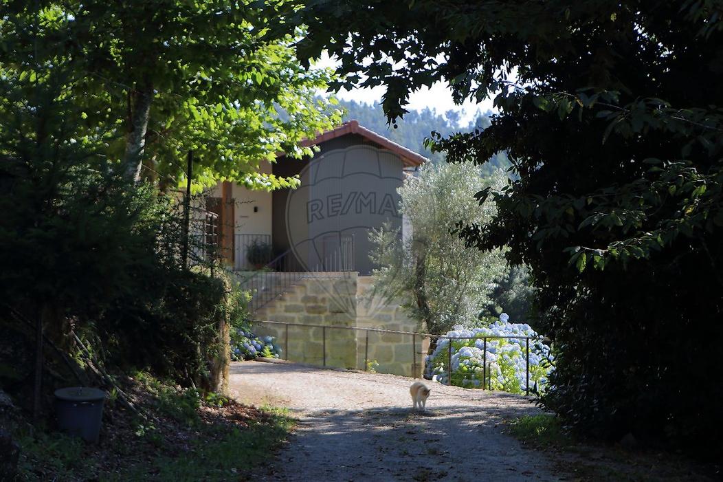 10 chambres Hôtel à Atei, Portugal No. 64939