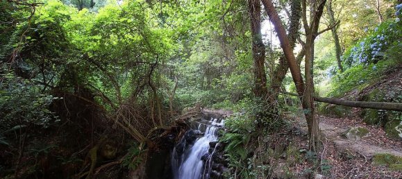 10 chambres Hôtel à Atei, Portugal No. 64939 43