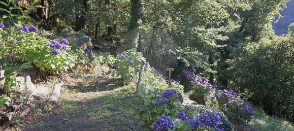 10 chambres Hôtel à Atei, Portugal No. 64939 41