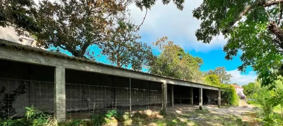 12 غرف نوم منزل في Torres Vedras, Portugal رقم 54384 20